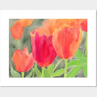 Orange And Red Tulips Posters and Art